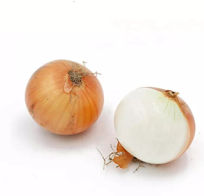 FRESHO Onion Yellow Onion Shallot Seed(20 per packet)
