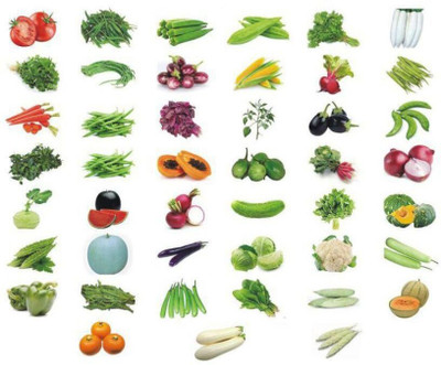 Cloud Farm vegetable seeds Seed(20 per packet)