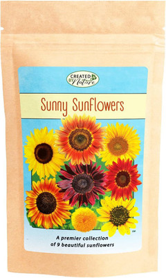 CYBEXIS NDIR-51 - Mix of 9 Sunflower Varieties - (1350 Seeds) Seed(1350 per packet)