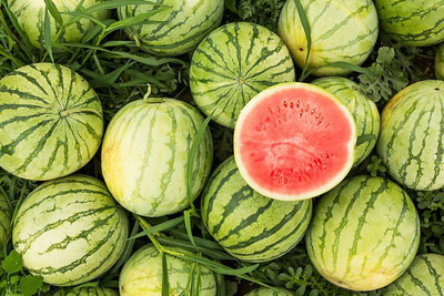 Hybrid Galaxy Fresh Sagar Watermelon F1 Hybrid Quality Seed(100 per packet)