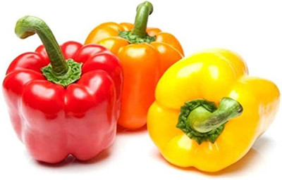 BDSresolve mix colour capsicum seeds/capsicum seed 25 Seed(25 per packet)