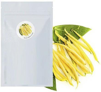 CYBEXIS Beans800 Seeds Seed(800 per packet)