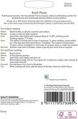 WILLVINE Hybrid BASIL Pluto Seeds-[2000 Seeds] Seed(2000 per packet)