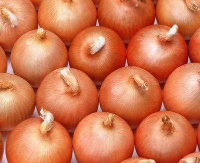VibeX ® XLR-940 Onion Orange Seeds Seed(1000 per packet)