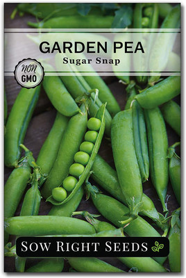 VibeX VXI-7 Sugar Snap Pea Seed Seed(50 per packet)