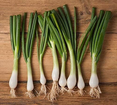 Qualtivate RES-2A Welsh Onion - White - Hardy Perennial Seed(500 per packet)