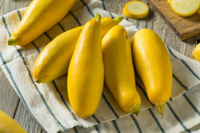 VibeX ® RXI-473 Summer Squash Seeds Seed(100 per packet)