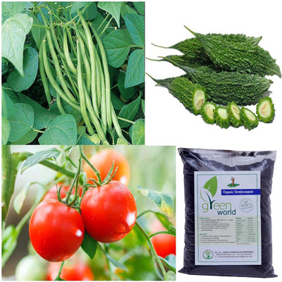 CYBEXIS Tomato + Beans + Bitter Gourd Plant Seeds Seed(10 g)