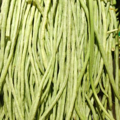 CYBEXIS Long Bean Seeds400 Seeds Seed(400 per packet)