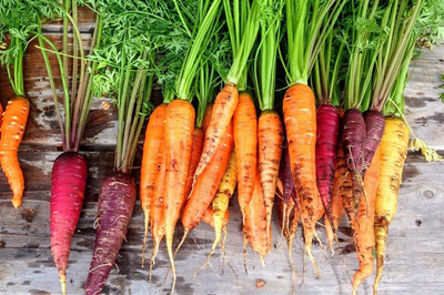 VibeX ® VLR-526 Rainbow Carrot Seeds for Planting Seed(500 per packet)