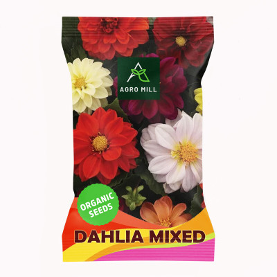 AGRO MILL DAHLIA MULTIFLORA DOUBLE MIXED PREMIUM QUALITY FLOWER Seed(20 per packet)