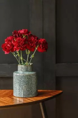 Aro Carnation Seed(108 per packet)