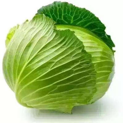 MYLAWN Green Cabbage (पत्ता गोभी के बीज) Seed(50 per packet)