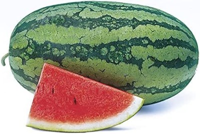 Qualtivate HXL-7AT Sweet Beauty Hybrid Watermelon Seeds Seed(100 per packet)