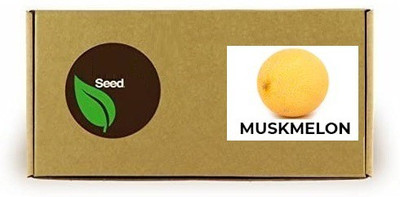 CYBEXIS Musk Melon Seed(400 per packet)