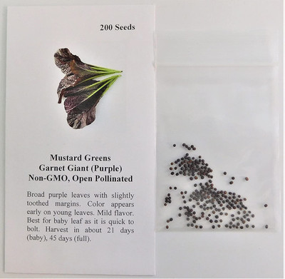 CYBEXIS NBIR-8 - Mustard Greens Garnet Giant(Purple) - (750 Seeds) Seed(750 per packet)