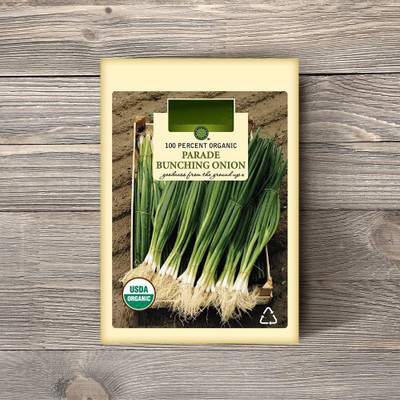 CYBEXIS XLR-57 - Bunching Onion White - (4500 Seeds) Seed(4500 per packet)