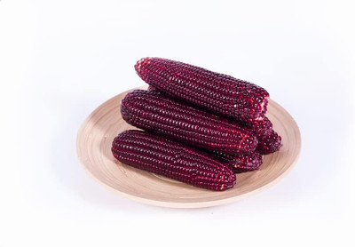 WILLVINE ROX -VI Bloody Butcher Indian Corn-[25g] Seed(100 per packet)