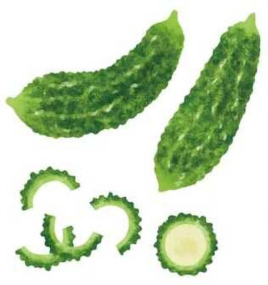 XOLDAA F1 BEST QUALITY BITTER GOURD SEEDS Seed(17 per packet)