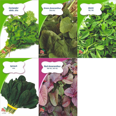 CYBEXIS Leafy Delight Combo 5 Varieties Seed(10 g)