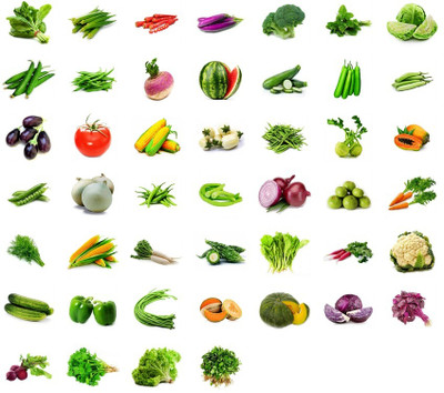 R-DRoz Combo of 46 Vegetables Seeds (2300+ Seeds) Seed(2058 per packet)