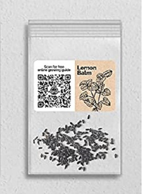 WILLVINE Non-GMO F1 HybridLemon Balm-1250 Seeds Seed(1250 per packet)