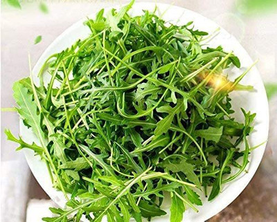 CYBEXIS VXI-53 - Slow Bolt Arugula - (2250 Seeds) Seed(2250 per packet)