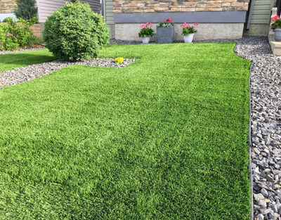 Pbevergreen Durva Lawn Grass Seeds, Grass Seeds For Lawn Seed(7000 per packet)