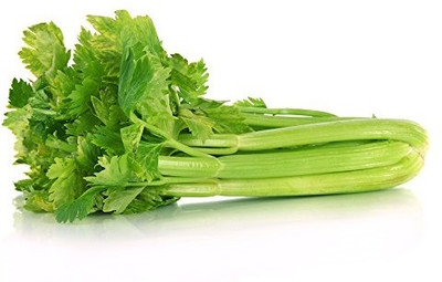 WILLVINE Green Celery Seeds-[2000 Seeds] Seed(2000 per packet)