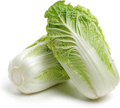WILLVINE HUA -IX Chinese Michihli-Heading Cabbage [5g] Seed(1500 per packet)
