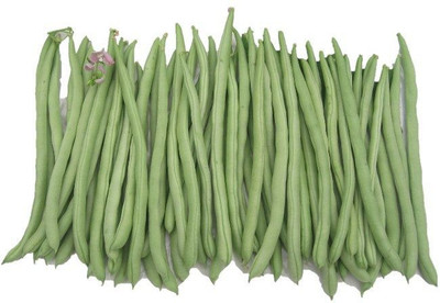 Avysa French Bean Seed(500 per packet)