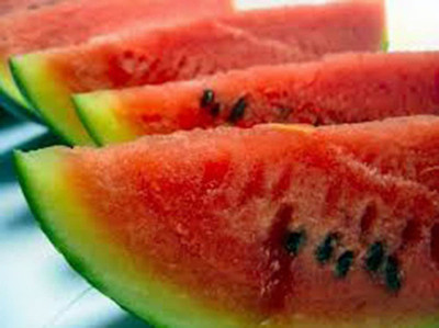 CYBEXIS LX-13 - Watermelon Charleston Grey - (1350 Seeds) Seed(1350 per packet)