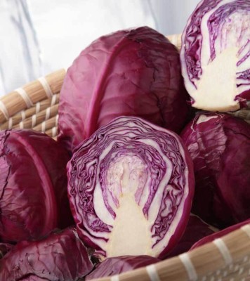 XOLDA Organic Cabbage purple Seed(42 per packet)