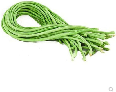 CYBEXIS Green Long Bean Seeds-100 Seeds Seed(100 per packet)