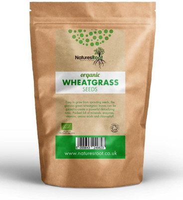 CYBEXIS Organic Wheatgrass Sprouting Seeds700 Seeds Seed(700 per packet)
