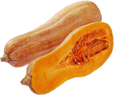 CYBEXIS Organic Fresh Gourd Sweet Long Pumpkin Squash Seeds 400 Seeds Seed(400 per packet)