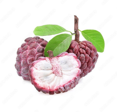 Aywal Custard apple fruit (setaphal) Seed(7 per packet)