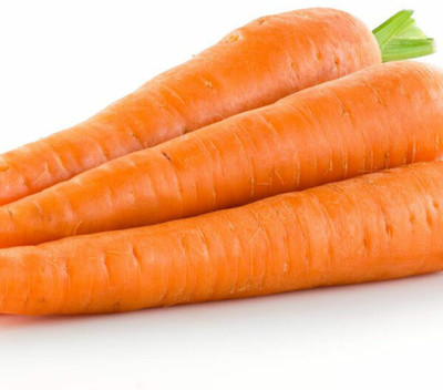 Quentova Orange Carrot Gajar-8A-LIV Seed(200 per packet)