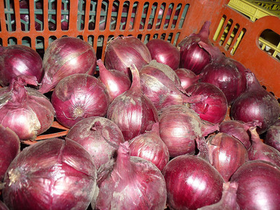 CYBEXIS NBIR-76 - Onion Red Baron Neutral Giant - (13500 Seeds) Seed(13500 per packet)