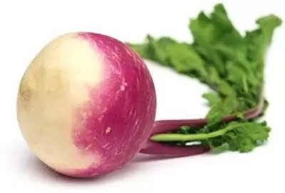 MAA Turnip, Shalajam Seed(15 per packet)