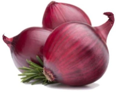 Biosnyg XLI-104 ONION [1000 Seeds] Seed(1000 per packet)