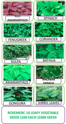 ROSEMERC 10 variety leafy vegetable ( each 100 ) Seed(1000 per packet)