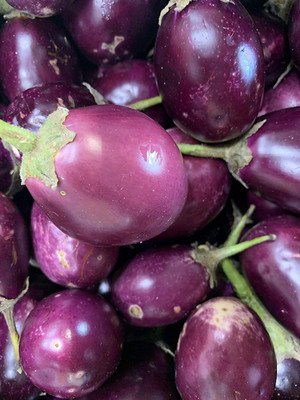 UGRA Indian Eggplant/brinjal Seed(3500 per packet)