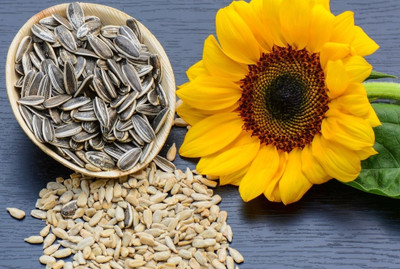 AYODvati Sunflower,suryamukhi Seed(50 per packet)