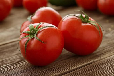 LPR TOMATO, TAMATAR Seed(100 per packet)