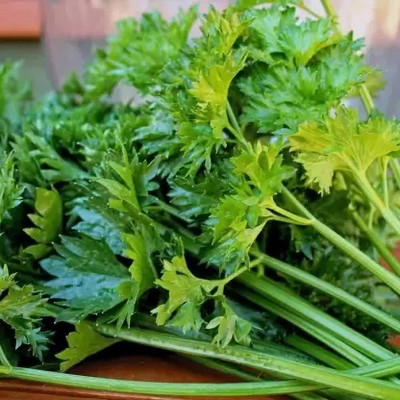 MAA Celery, Ajmod Seed(31 per packet)