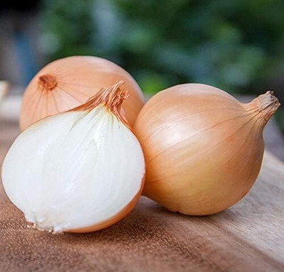 WILLVINE AGRI -XII Giant Onion Chalcedone Seeds [50g] Seed(30000 per packet)