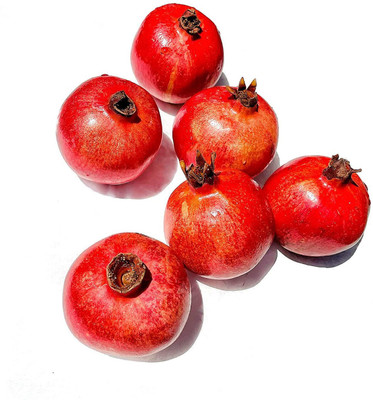 CYBEXIS VVI-38 - Rare Red Big Pomegranate - (270 Seeds) Seed(270 per packet)