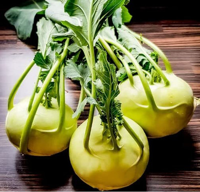 Aywal Hybrid Knol Khol White Vegetable Seed(2000 per packet)