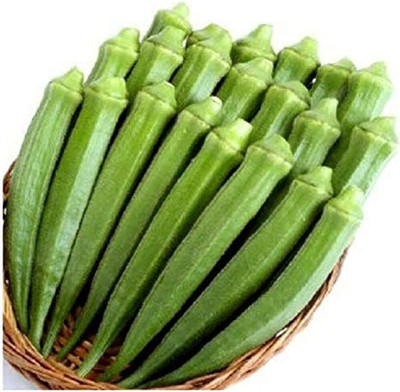 the green dotcom bhindi seeds Seed(127 per packet)
